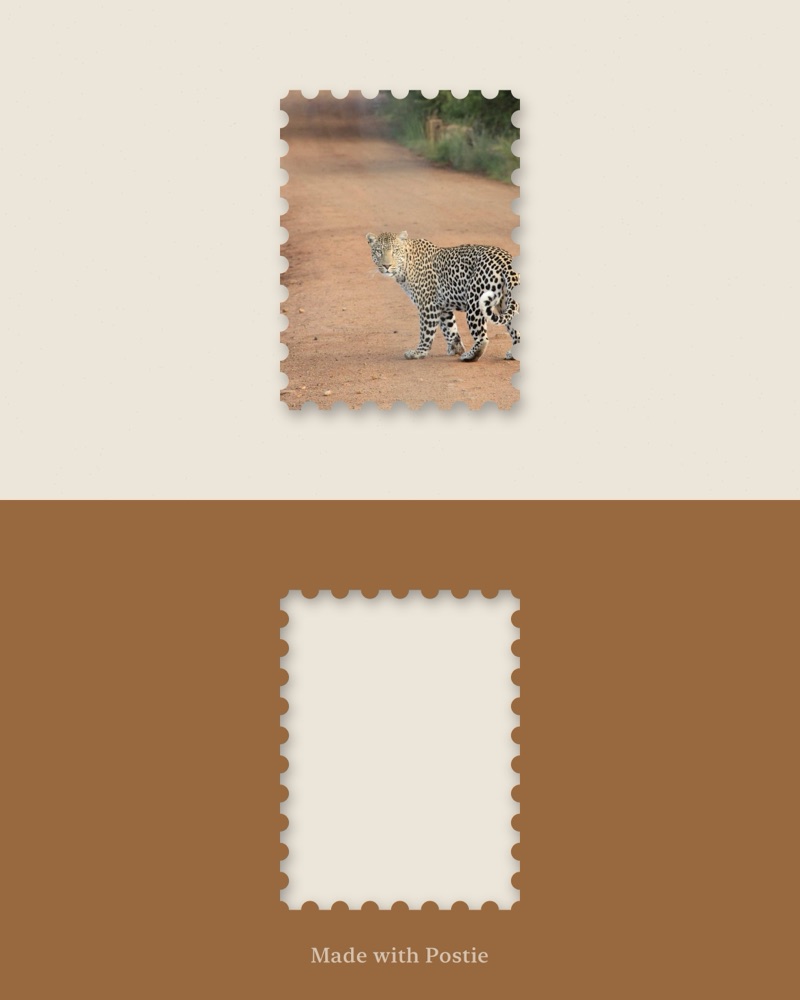 A stamp above the hole it left